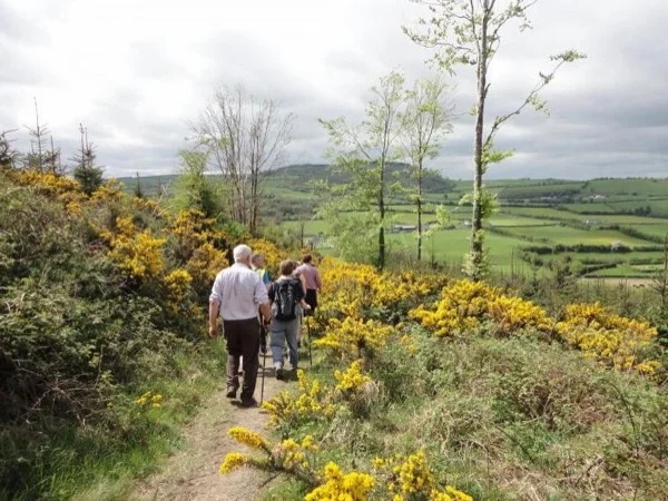 County Laois - Private Day trip (from Laois or nearby location)
