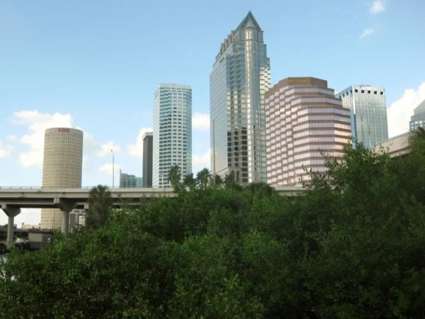 Hit the Highlights of Downtown Tampa & Ybor City