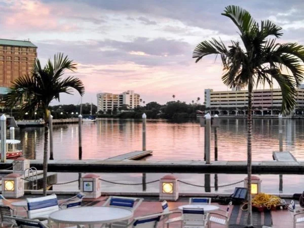 Discover Downtown Tampa