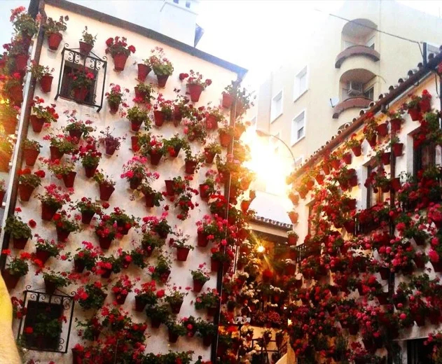 Cordoba inside a patio