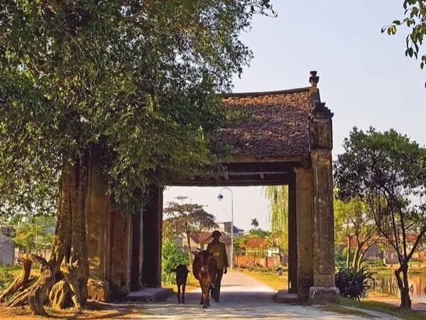 Tay Phuong pagoda and Duong lam ancient village Trip with biking