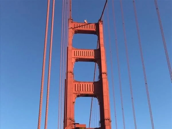 Views, Views, and more Views on a Private Custom San Francisco Tour