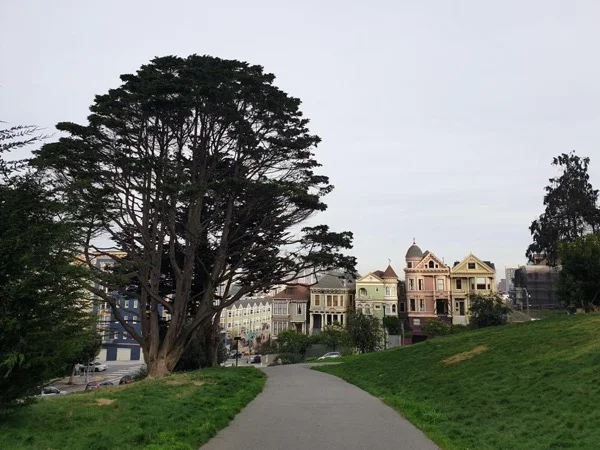 The Seven Hills of San Francisco - A Half-Day Tour