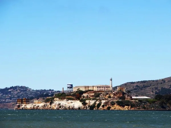 Cover media image