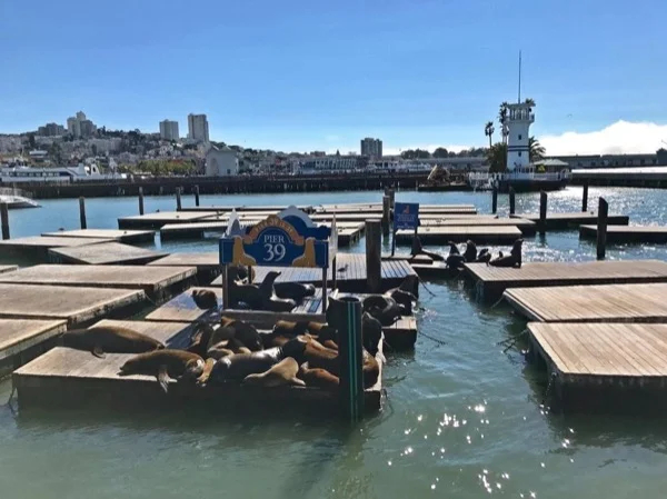 A Scenic Walking Tour of San Francisco's Waterfront