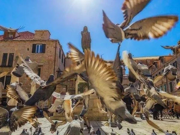 Dubrovnik walking tour at a glance