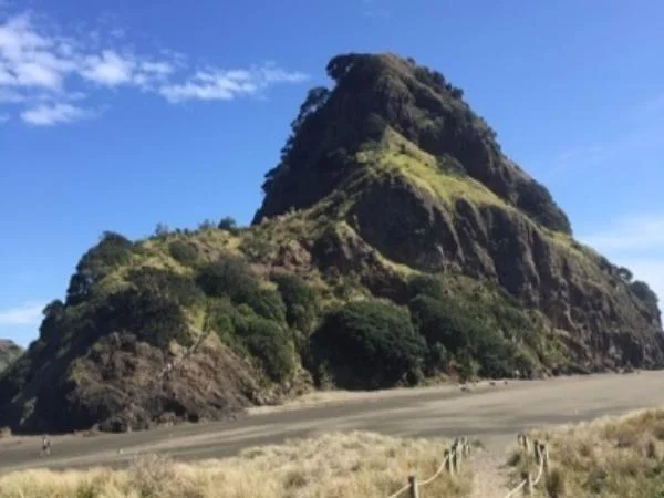 Auckland - Coast to Coast private tour