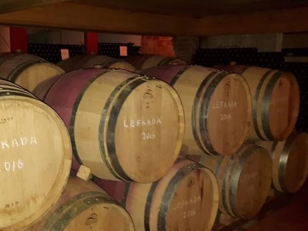Enjoy a full-day VIP tour to the Troodos Village's wineries