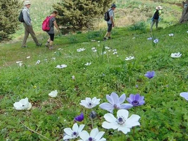 North Cyprus Walking and Hiking Private Tour