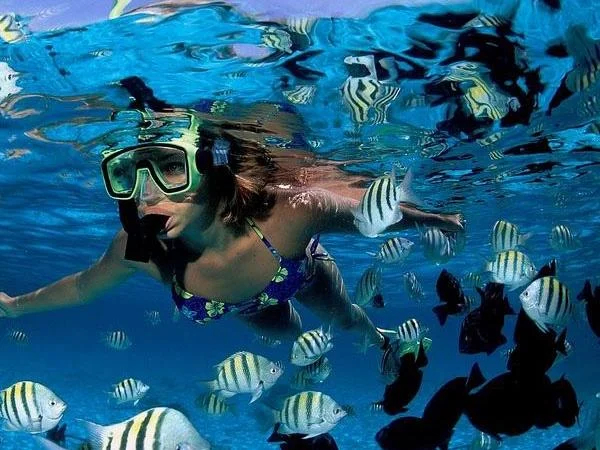 Saint Lucia Snorkel Excursion