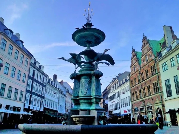 Cover media image