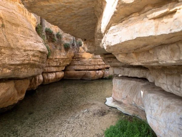 Wadi Qelt trekking tour
