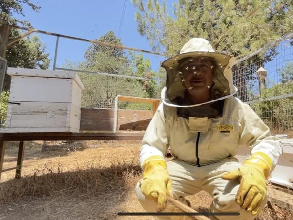 Beekeeping Tour