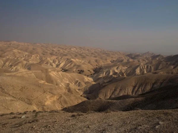 Jericho and Wadi Qelt
