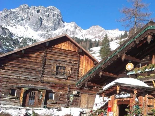 Combination Do-Re-Mi/Horse-drawn sleigh ride - private tour