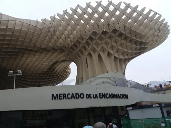 Private Tour to Metropol Parasol and Las Duenas Palace
