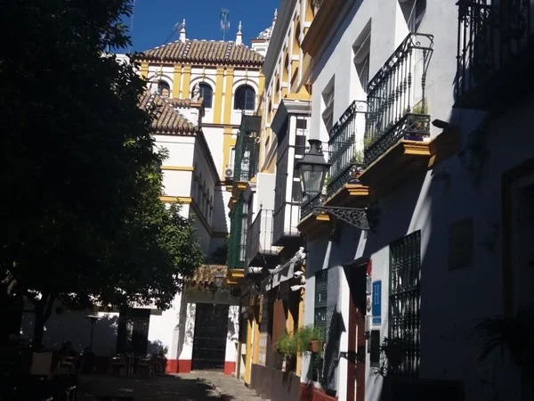 Wellcome to Seville Introductory Tour