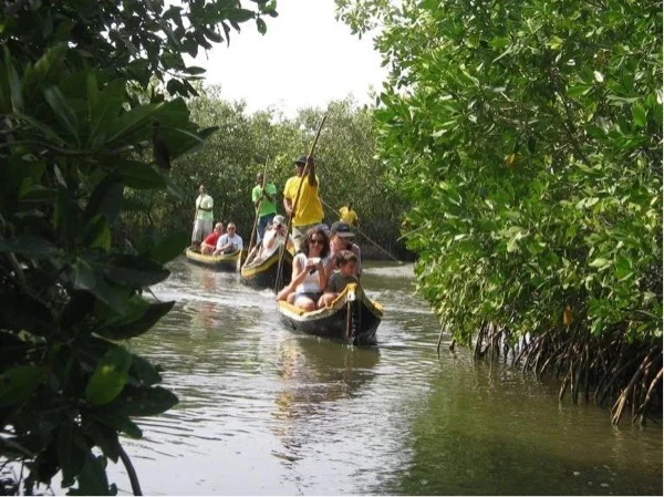Cover media image