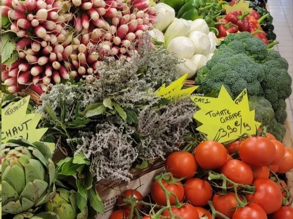 Provençal food market and wine tasting in Avignon - 2 hours walking tour