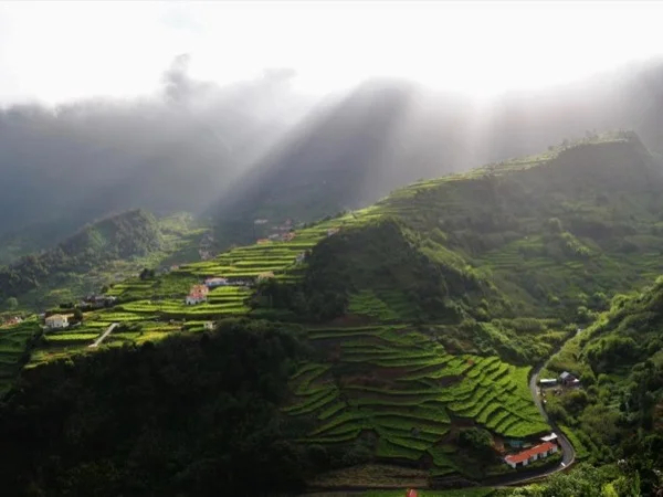 Madeira island Private Wine Tour Full Day for Couples or Solo travellers