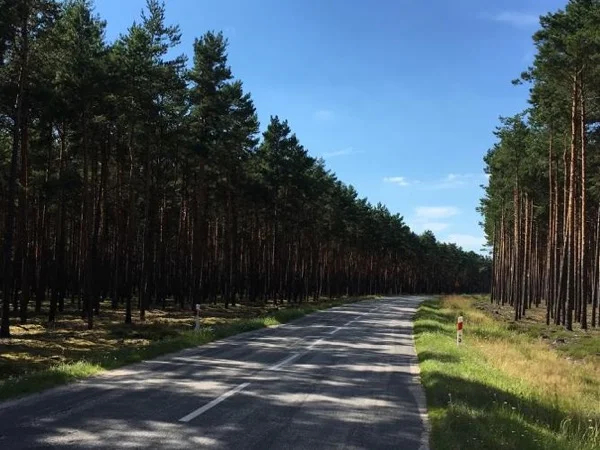 In the footsteps of our ancestors: we visit the places where they lived