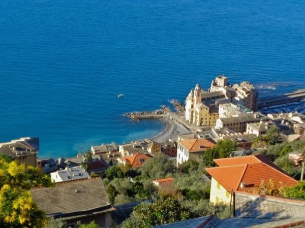 Cover media image