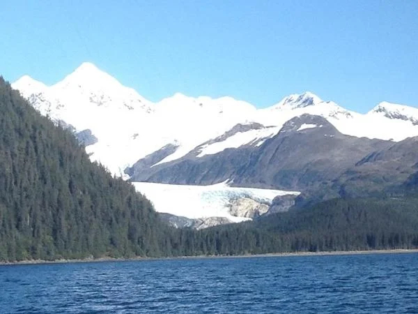Anchorage to Seward Cruise Ship Transfer and Tour