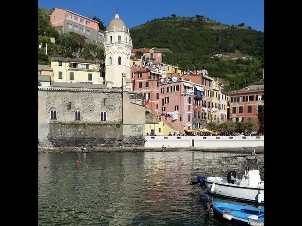 Cover media image
