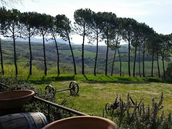 Siena, Montalcino and Brunello cellars