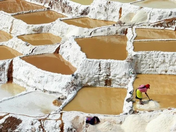 Tour to Maras, Salt Mines and Moray archaeological complex
