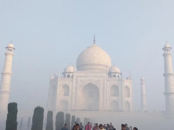 Cover media image