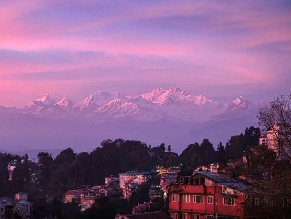 Cover media image