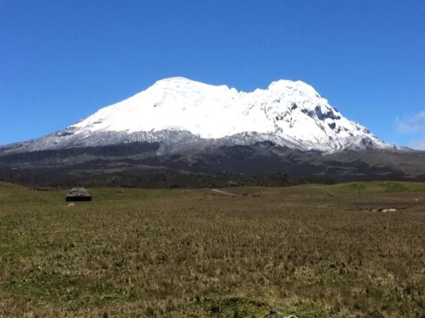 Antisana Ecological Reserve Tour - Full day