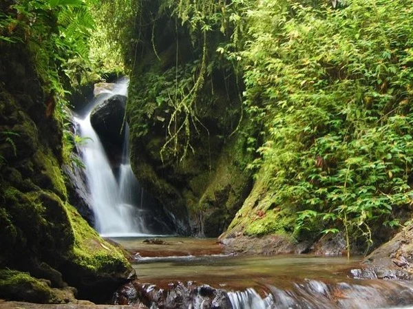 Best TWO DAYS tour to Mindo cloud forest