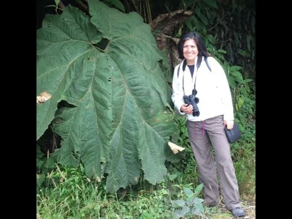 Yanacocha Reserve, Middle of the World and Pululahua Volcano