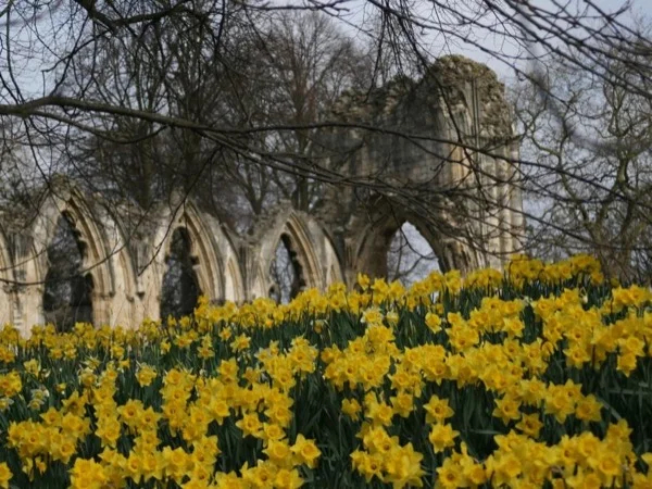 A quick look at York