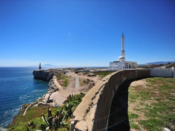 Cover media image