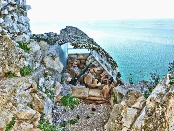 Cover media image