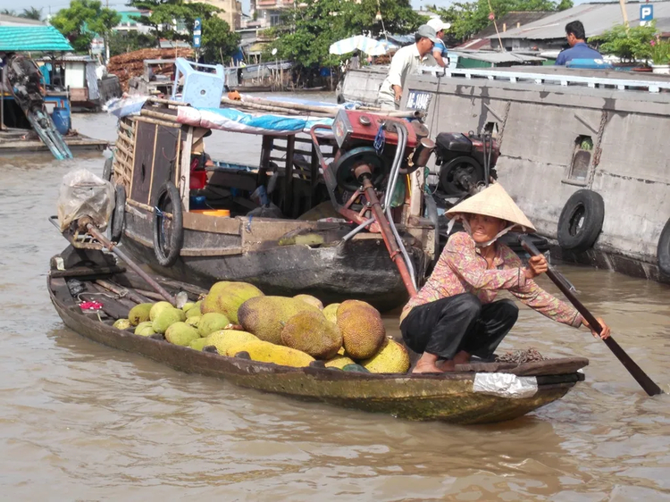 Cover media image