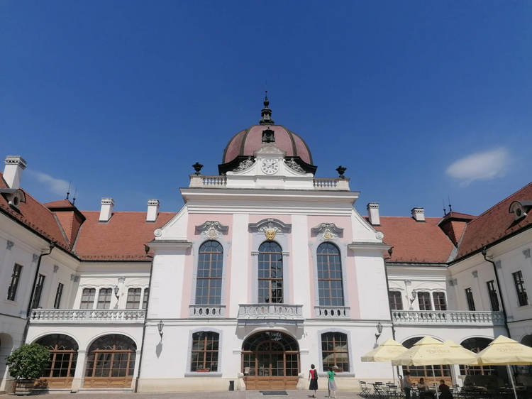 Cover media image