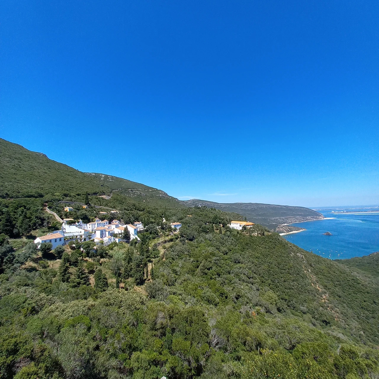 Cover media image