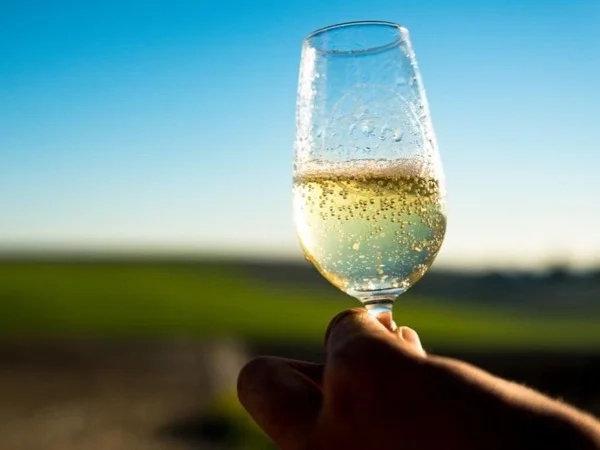 Unique Wine Tasting at a local Family-owned Winery in Cádiz