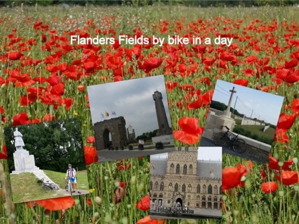 Private Full Day Bike Tour in Flanders Fields
