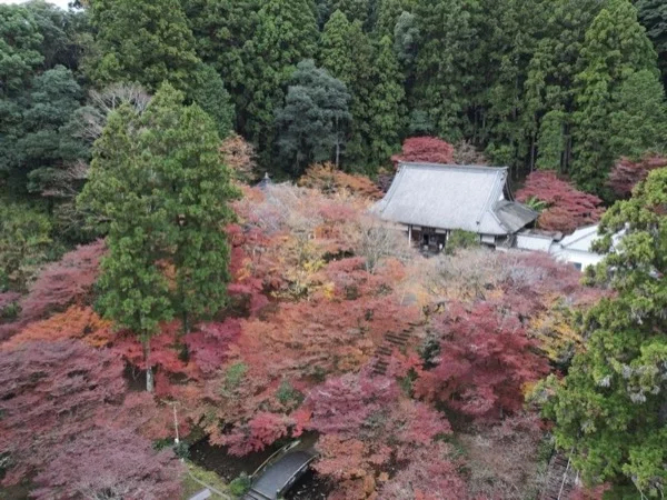 Shizuoka off the beaten path full day tour with a guide/photographer