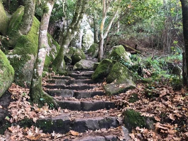 Hiking Tour in Sintra