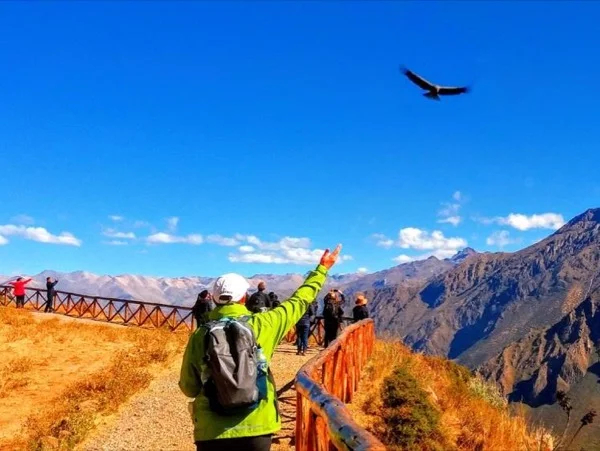 Two-Days Andean Valley Colca Canyon Tour.