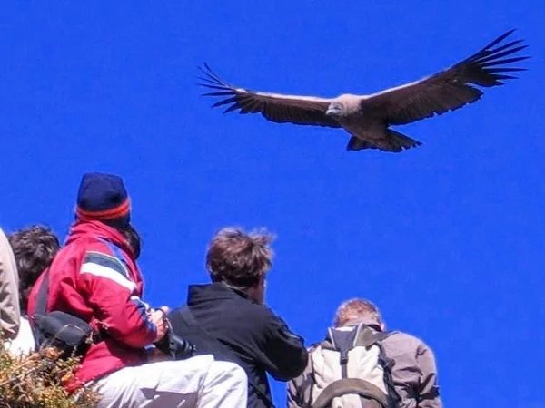 Cover media image