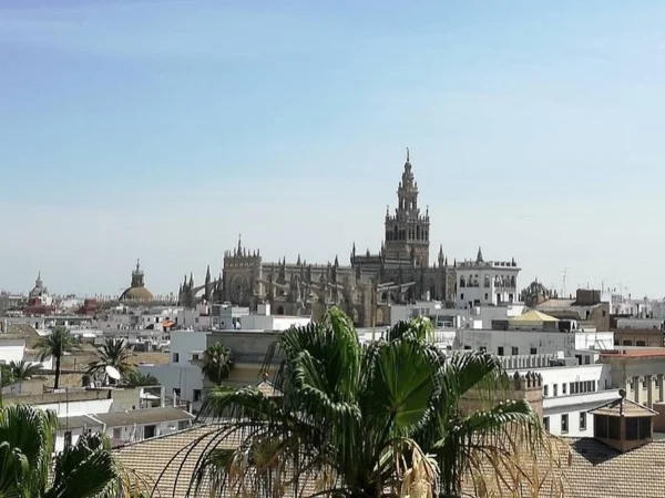 Seville tour for first time visitors!