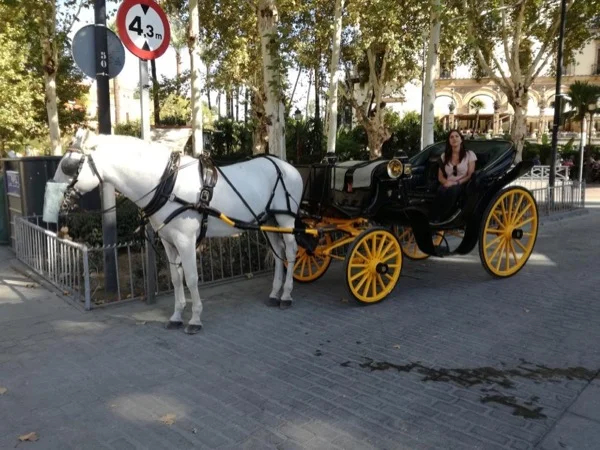 Seville by horse-drawn carriage ride