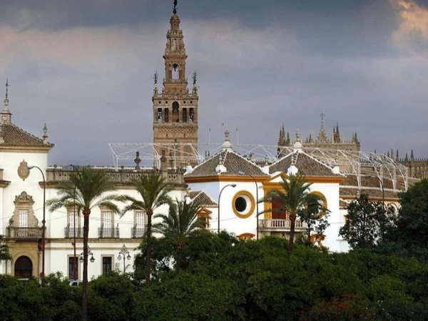 Discover the best of Seville! half day tour for your first time in Seville!